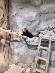 -Zoolung Zoolung动物主题公园(海信广场店)