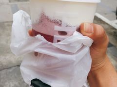 多肉葡萄-喜茶(东莞雍华庭店)