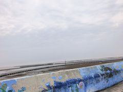 -南汇嘴观海公园