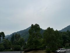 -天目山大树王景区