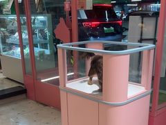 -FAELING PETS美天灵宠物(合生汇店)