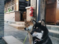 -瓦厂酒店