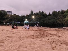 -青枫公园
