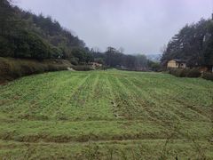 -韶山毛泽东同志故居