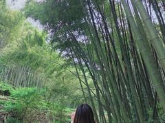 -会稽山峡洞漂流-上青古道