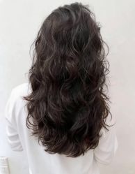 -镁连社·美联社