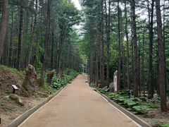 -洛阳白云山景区