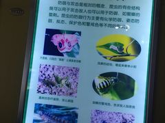 -上海昆虫博物馆