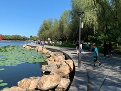 -长春世界雕塑园冰雪艺术天地