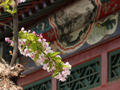 -元大都城垣遗址公园