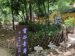 -灵谷景区