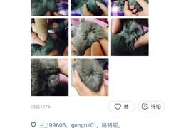 -乐宠宠物店(世纪金源店)