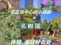 -名树园