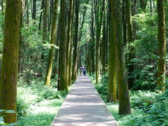 -同里国家湿地公园