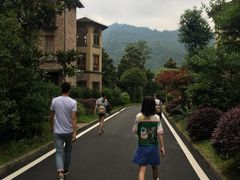 -梦幻奥陶纪景区