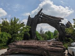 -广富林郊野公园