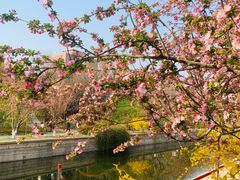 -海棠花溪(元大都城垣遗址公园)