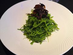 辣木苗炝拌鸡枞菌-醉东Oriental House(静安嘉里中心店)