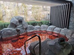 -北京乐多港万豪酒店汤乐宫温泉