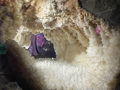 -湖南省地质博物馆