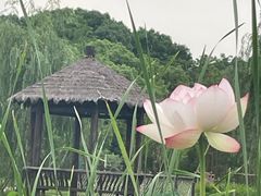 -上海怡沁园度假酒店