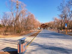 -野鸭湖国家湿地公园