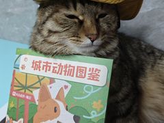 -瑞虹新天地月亮湾