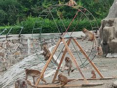 -哈尔滨北方森林动物园