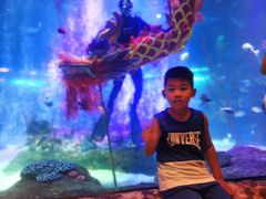 -沈阳海洋探索中心