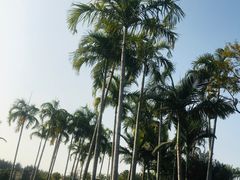 -宝安西湾红树林湿地公园