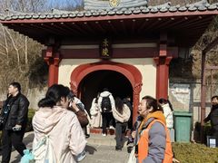 -洛阳古墓博物馆