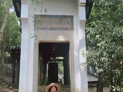 -严子陵钓台(富春江小三峡)