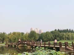 -前关湿地公园