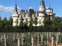 -北京张裕爱斐堡酒庄