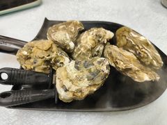 桑拿蠔-天宝食坊·啫啫煲大排档(西华路店)