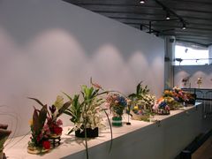 国际花卉艺术展-广州市第二少年宫