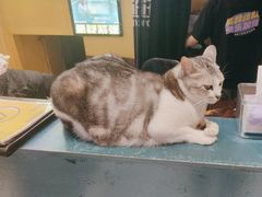 -谜盒子奇幻密室(南屏店)