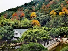 -九龙潭景区