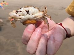 -嵊泗基湖沙滩