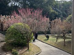-蒋氏故居
