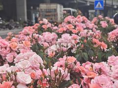 -上海体育馆(地铁站)