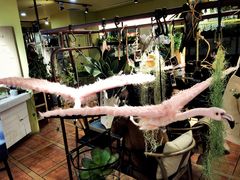 -花蒲甜品(海信广场店)