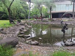 -苏州河梦清园环保主题公园