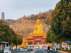 -大伊山景区