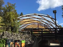 -怀托摩萤火虫洞