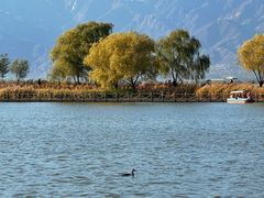 -野鸭湖国家湿地公园