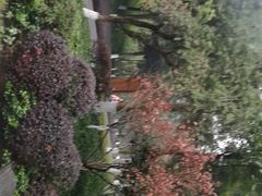 -龙头寺公园