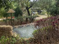 -三江森林温泉度假区