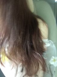 picture-ＤＯＭＯプロの美容サロン