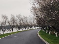 -东钱湖小普陀景区